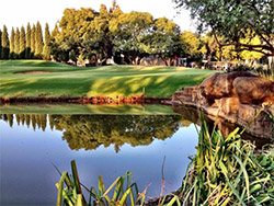 GolfSwitch/OpenTee Solutions provides visitor booking engine to Glendower Golf Club in South Africa